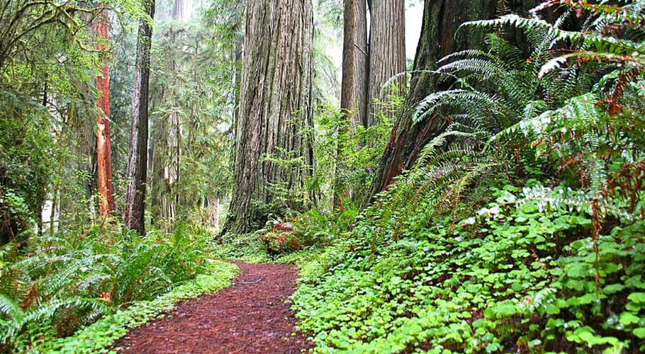 Northern California